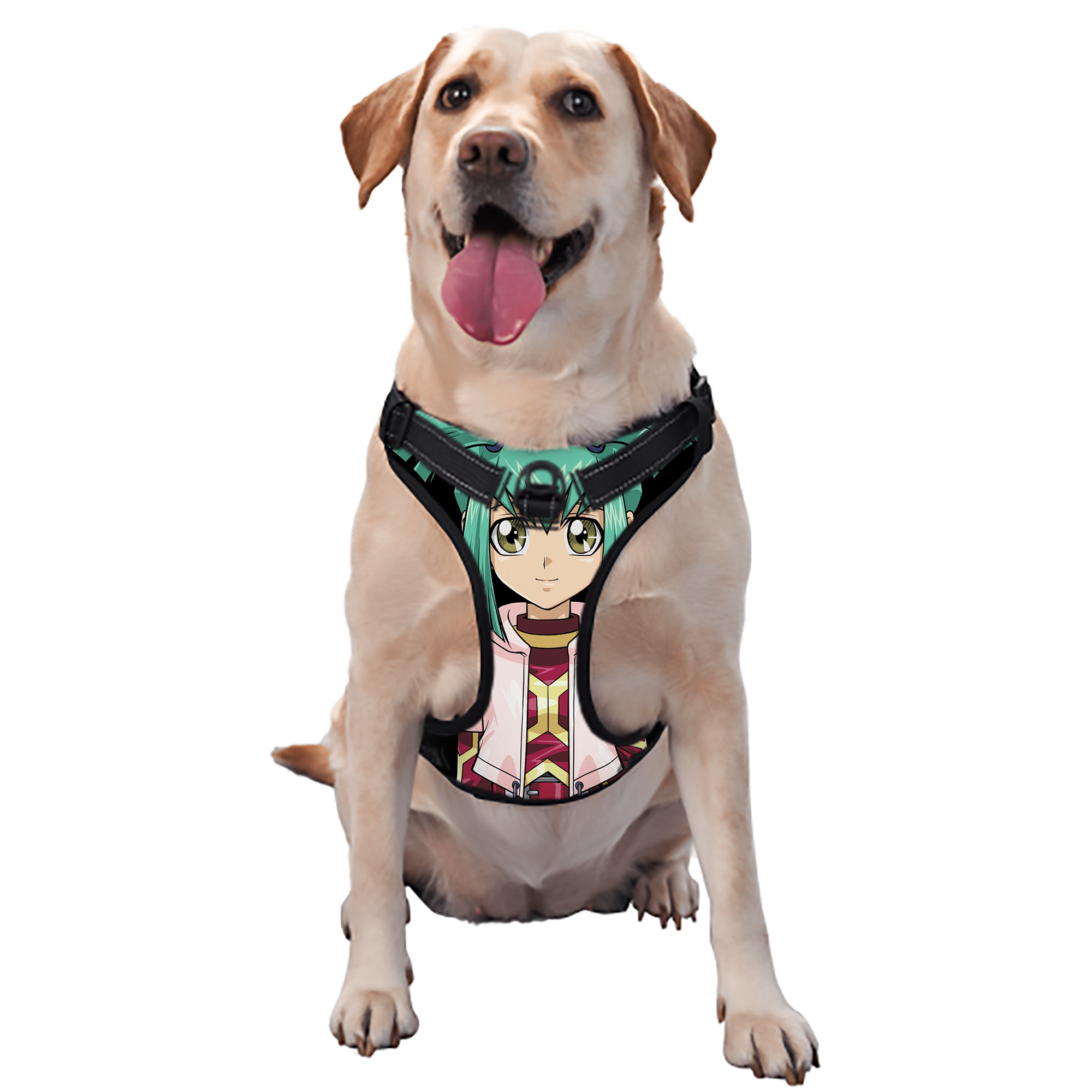 （画像用） 遊☆戯☆王 Yu-Gi-Oh! ペット用ハーネス